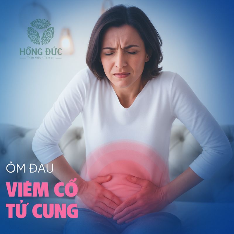 Điều trị viêm lộ tuyến bằng thuốc Đông y: Giải pháp lành tính, hiệu quả lâu dài cho chị em phụ nữ 2 Điều trị viêm lộ tuyến bằng thuốc Đông y